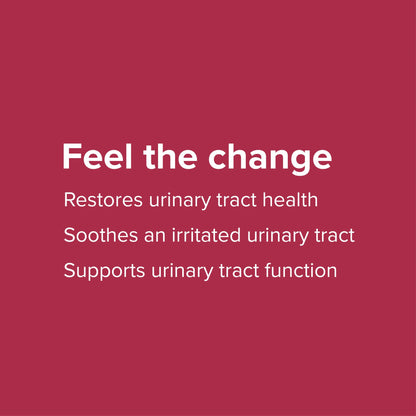 Vibrant Health U.T. Vibrance Powder – 10 Servings | Urinary Tract Health