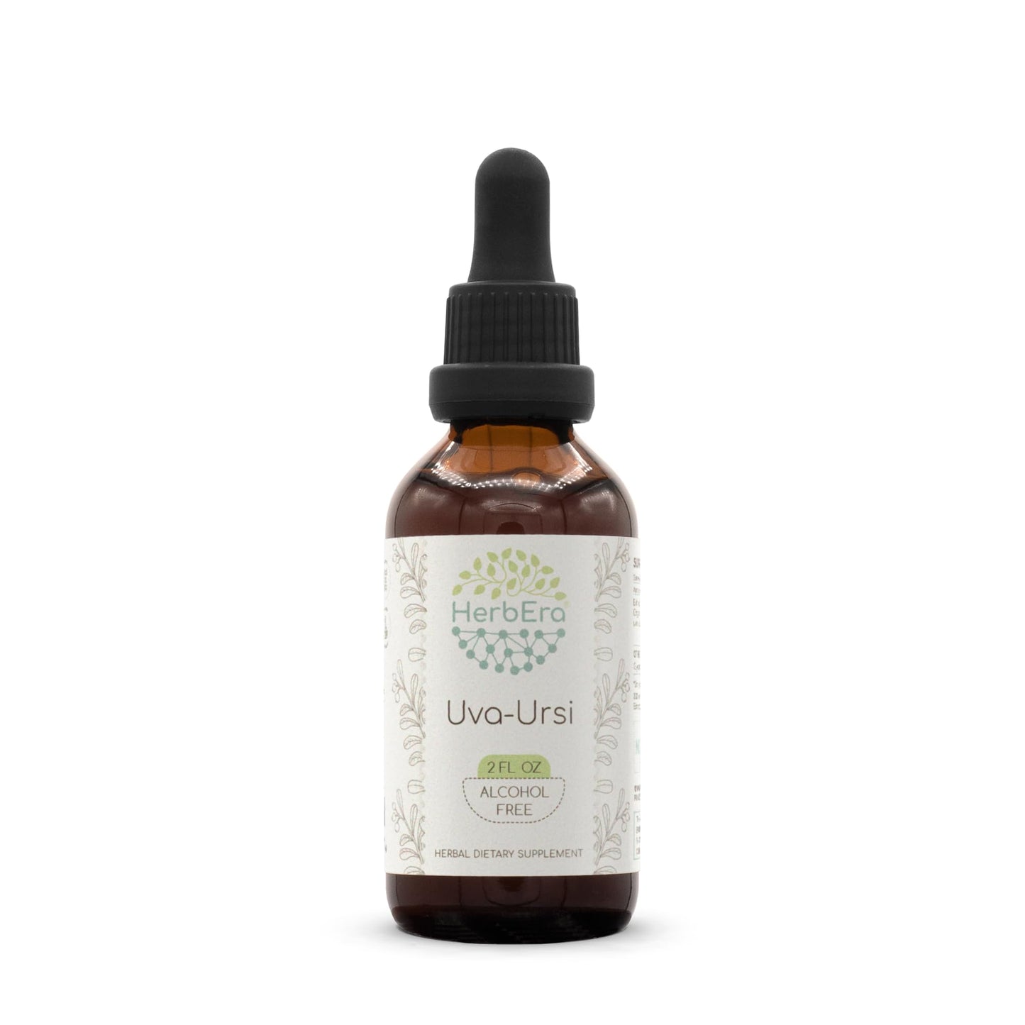 Uva-Ursi B60 Alcohol-Free Herbal Extract Tincture - 2 fl oz | Uva-Ursi (Arctostaphylos uva-Ursi) Dried Leaf