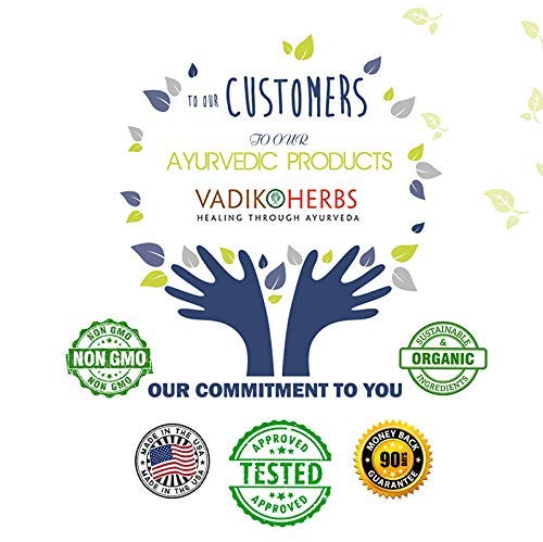 Vadik Herbs Ashoka Bark 1000 mg | Organic | 100 Vegicaps | Women's Wellness