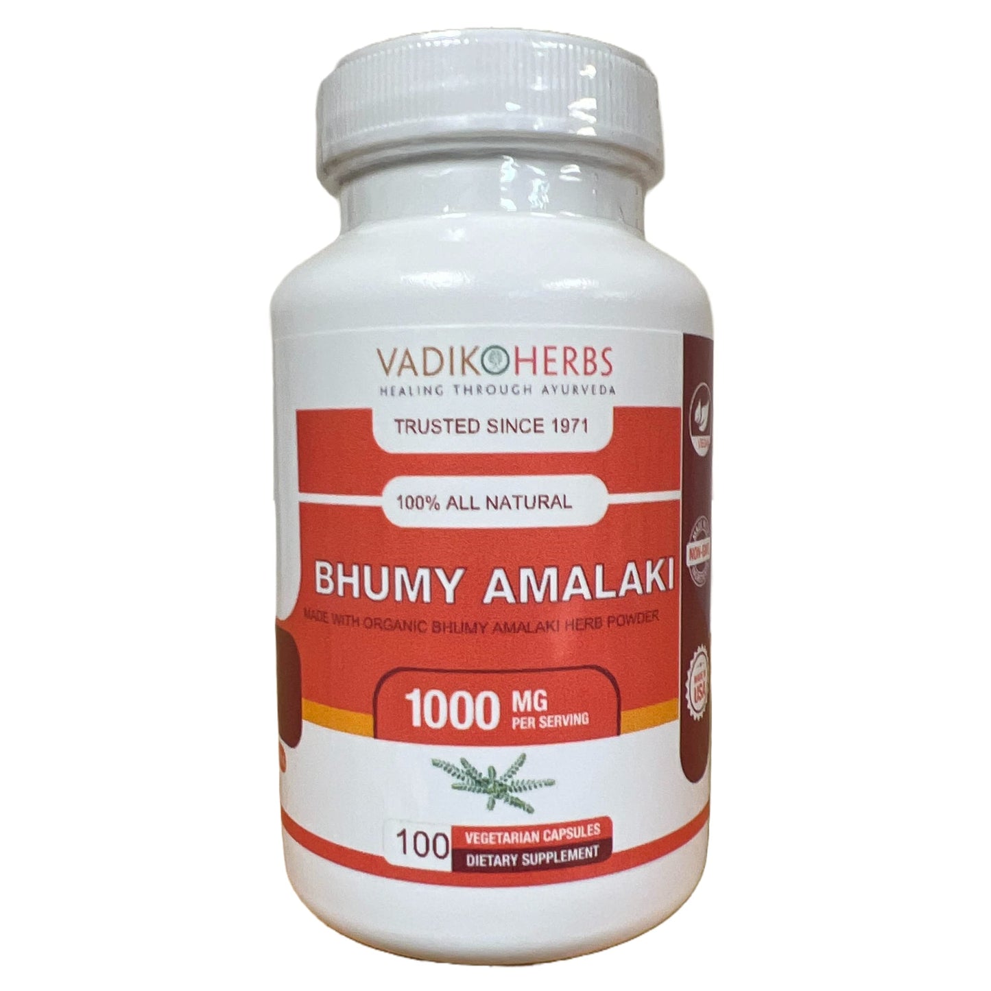 Vadik Herbs Certified Organic Bhumy Amalaki Powder (Phyllanthus amarus) – 100 Vegicaps