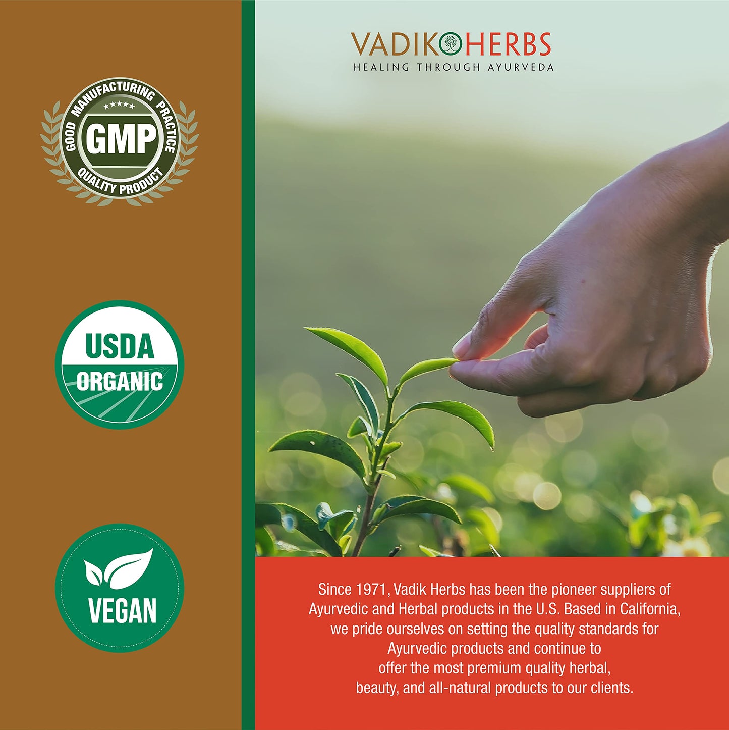 Vadik Herbs Certified Organic Bhumy Amalaki Powder (Phyllanthus amarus) – 100 Vegicaps