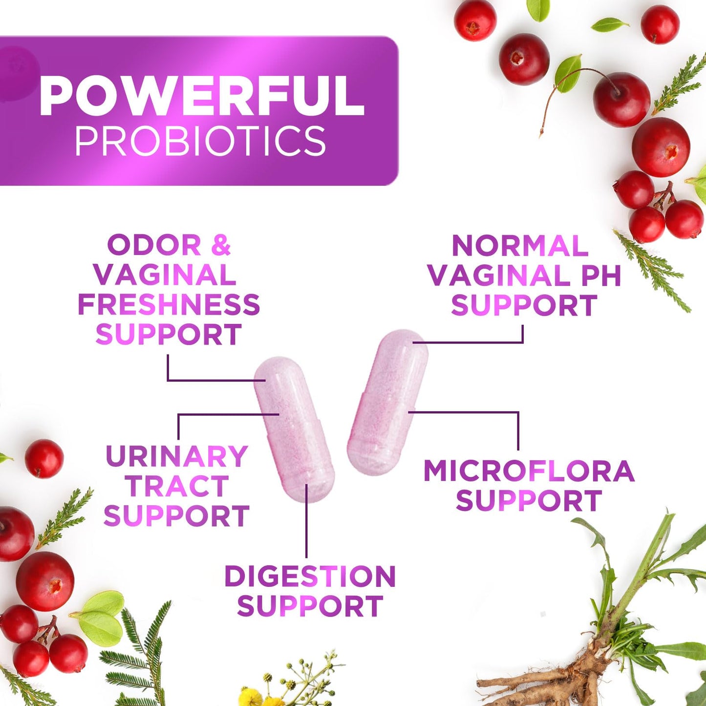 Womens Probiotic 60B CFU – 16 Strains, Cranberry & Prebiotics