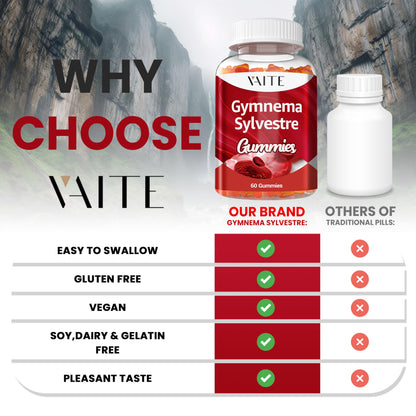 VAITE Gymnema Sylvestre Gummies 600mg – 60 Chews, Non-GMO, Gluten-Free