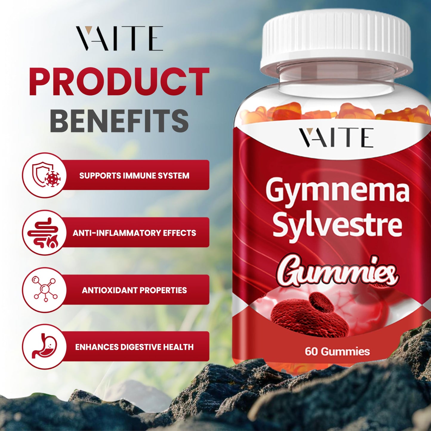 VAITE Gymnema Sylvestre Gummies 600mg – 60 Chews, Non-GMO, Gluten-Free