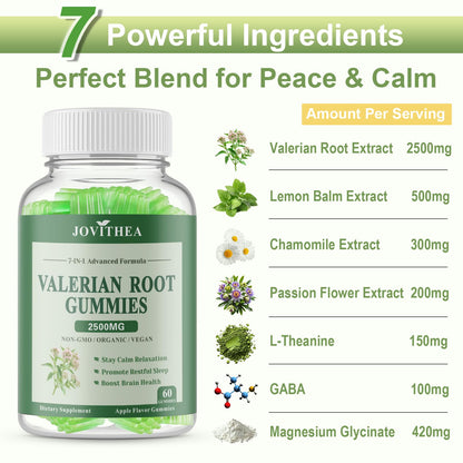 2 Pack Organic Valerian Root Gummies – Calming Sleep Support (Melatonin Free)