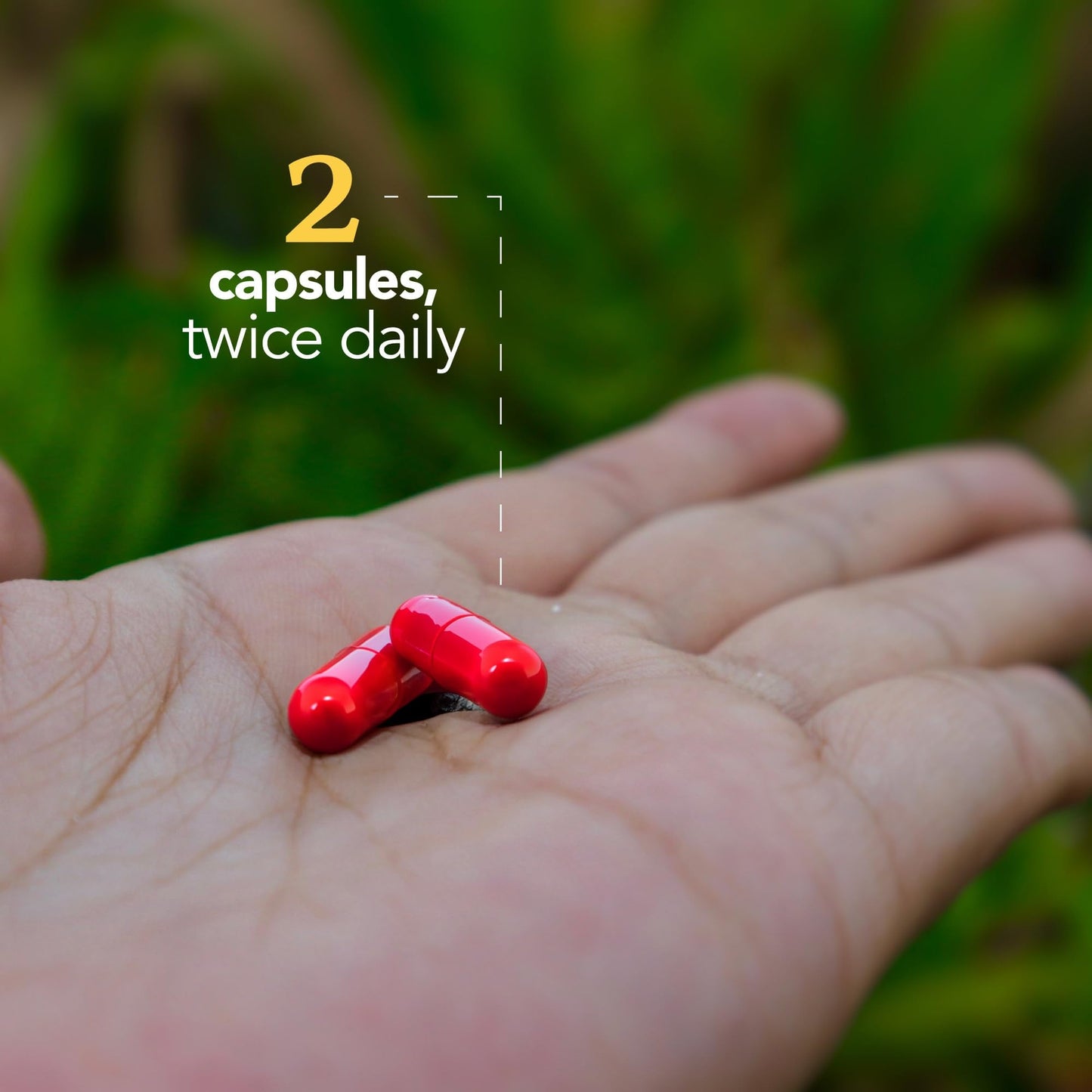Vall Natural Products - HepaLive Forte - 90 ct: Liver Support Supplement with Milk Thistle, CoQ10 & B Vitamins for Detox & Energy Metabolism