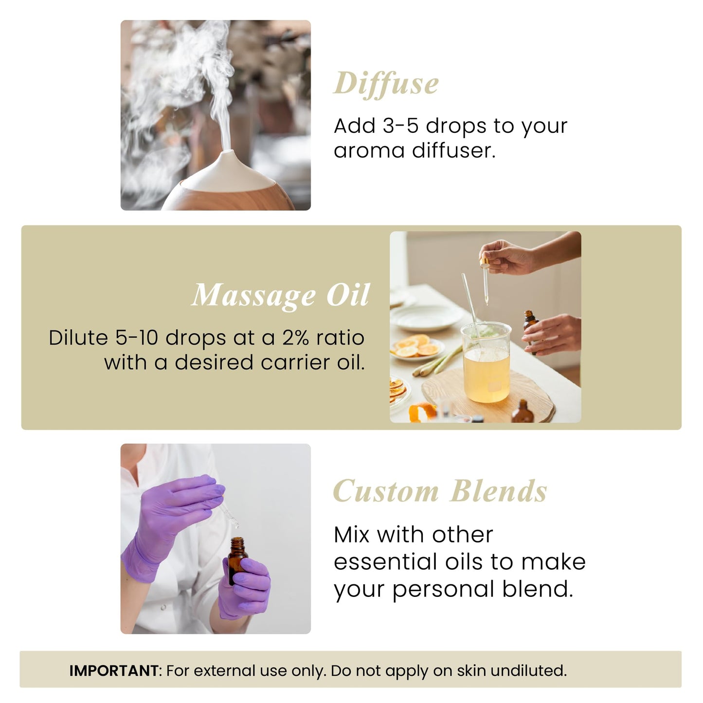 Handcraft Blends Vanilla Essential Oil – 1 Fl Oz | Pure & Premium Grade