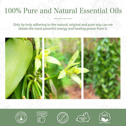 Vanilla Essential Oil 30ml | PHATOIL Pure Essential Oil Singles for Diffusers