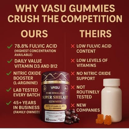 Vasu 6-in-1 Shilajit Gummies - Himalayan Gold, Vitamin D3 & B12, Sugar Free (60 Count)