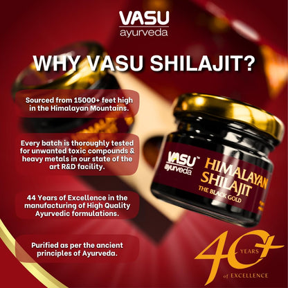 VASU Ayurveda Himalayan Shilajit Resin 400mg – Lab Tested Energy Booster (2-Pack)