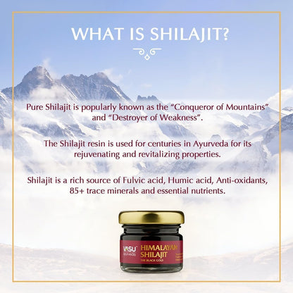 VASU Ayurveda Himalayan Shilajit Resin 400mg – Lab Tested Energy Booster (2-Pack)