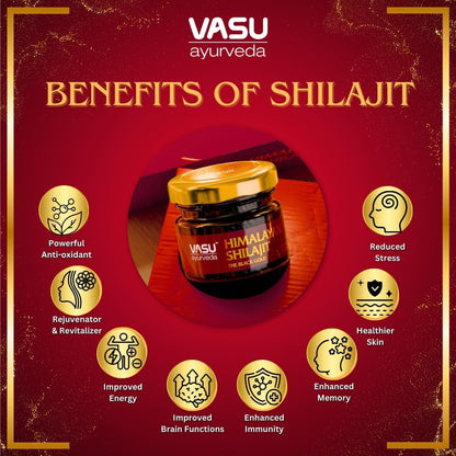 VASU Ayurveda Himalayan Shilajit Resin 400mg – Lab Tested | Natural Energy & 85+ Minerals