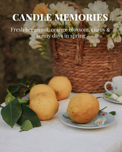 Veda Tinda Scent Candles – 4-Pack Beeswax Fall Scented Candles, Up to 80 Hours, Gift Set