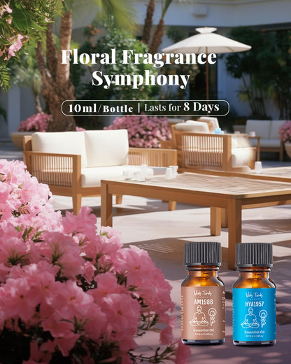 VEDA TINDA SCENT: Waterless Diffuser with Hotel Essential Oils – Luxury Home Fragrances