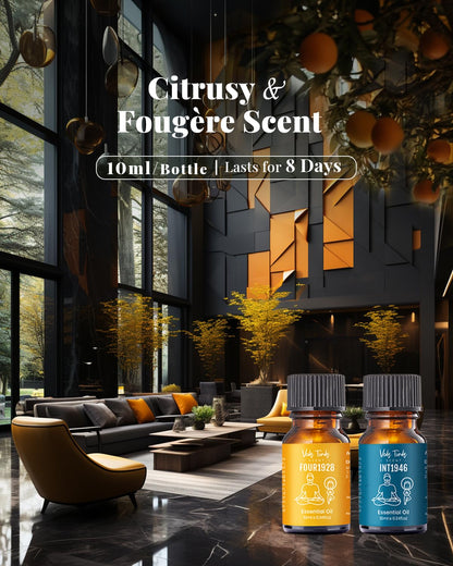 VEDA TINDA SCENT: Waterless Diffuser with Hotel Essential Oils – Luxury Home Fragrances