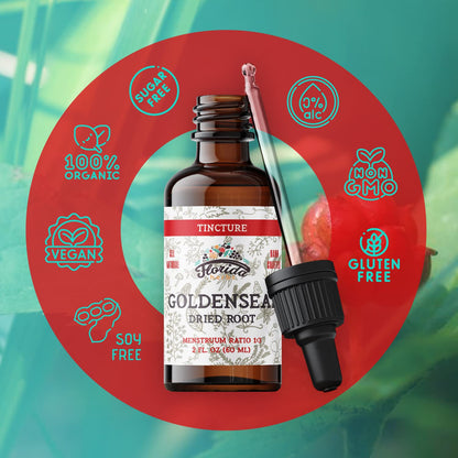 Goldenseal Tincture 2 oz – Organic Herbal Extract | Alcohol Free | Vegan Drops – Made in USA