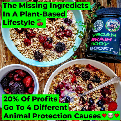 Vegan Brain & Body Boost: The Cherry On Top of a Plant-Based Lifestyle | Working Intelligence | Anti-Aging | Physical Fitness | Vegan Amino Acids - Creatine, Taurine & Beta Alanine | 40 Servings/300g
