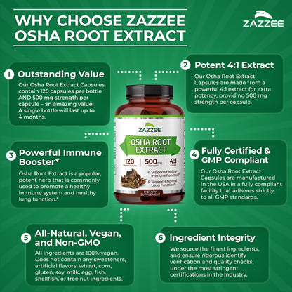 Zazzee OSHA Root 4:1 Extract - 500 mg, 120 Vegan Capsules, 4-Month Supply