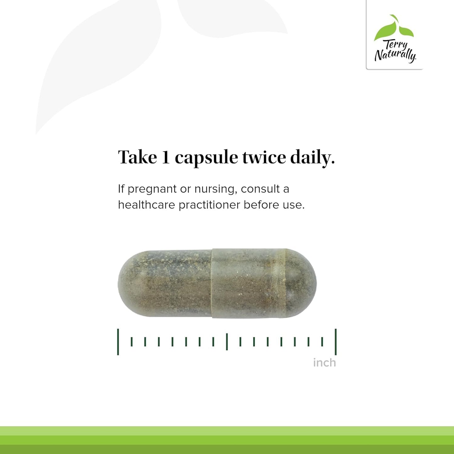 Andrographis EP80 with Umckaloabo – Sinus & Respiratory Support (60 Veg Capsules)