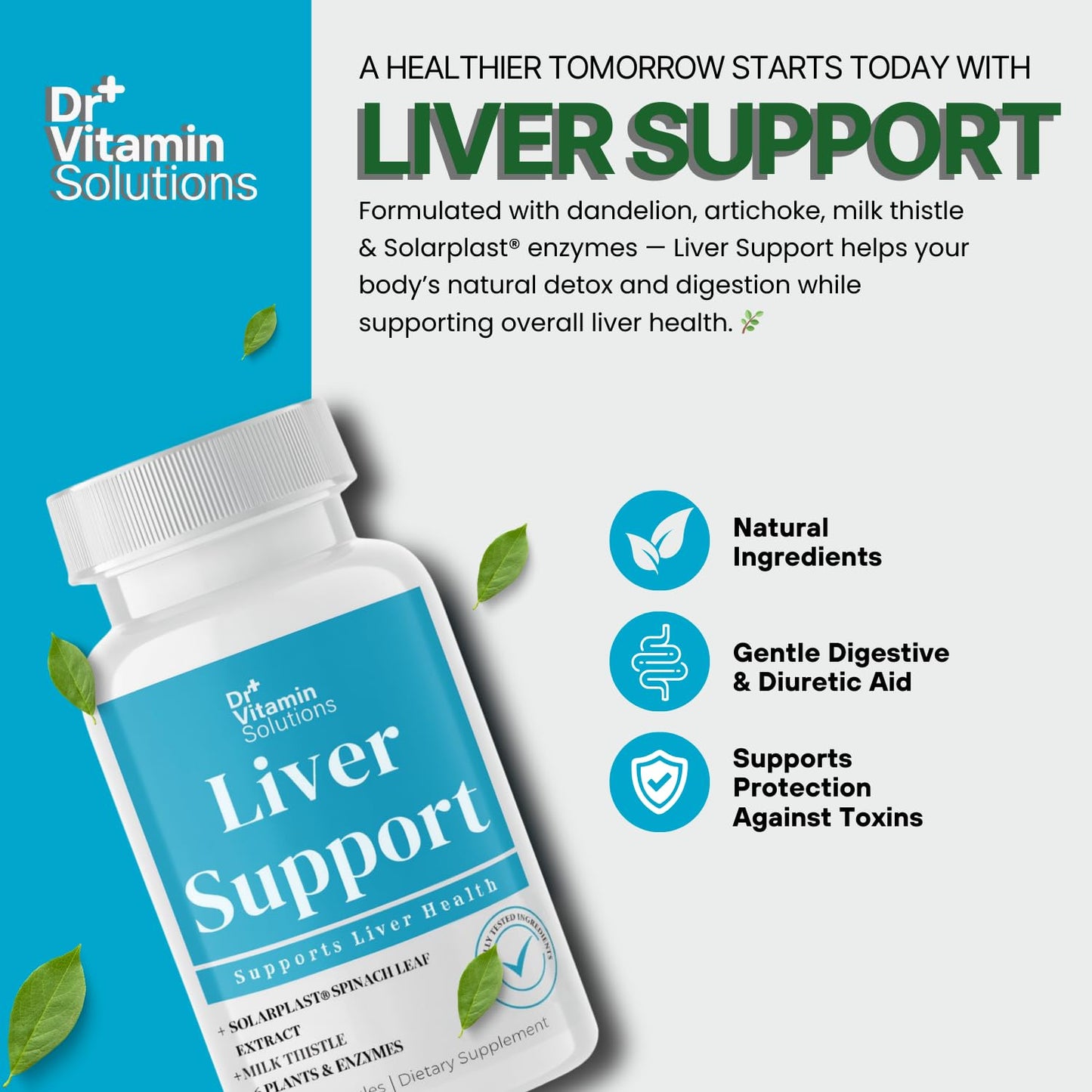 DR Vitamin Solutions Liver Cleanse Detox — Milk Thistle & Enzymes