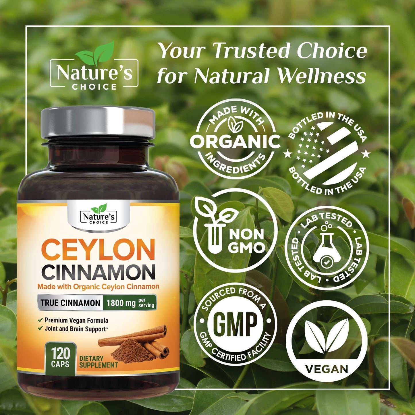 Ceylon Cinnamon Capsules 1800mg - Organic, Non-GMO, Gluten Free | 120 Capsules
