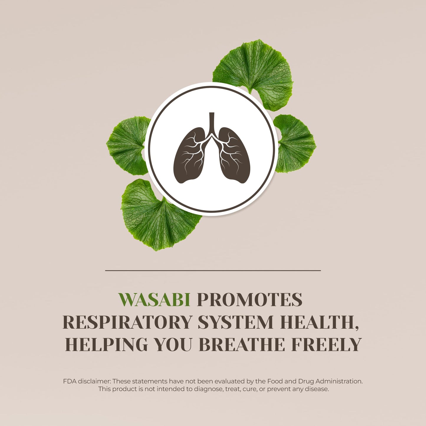 Wasabi Alcohol-Free Tincture Extract – Immune Support & Memory Booster (2 fl oz)