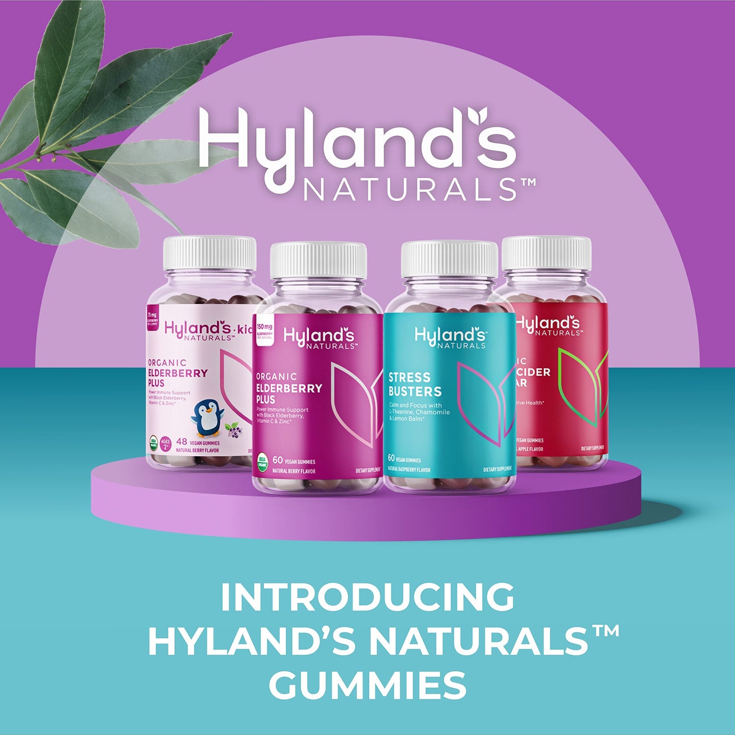 Hyland's Organic Elderberry Plus Gummies – Immune Support with Zinc & Vitamin C (60 Vegan Gummies)