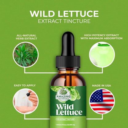 Amazing Botanicals Alcohol-Free Wild Lettuce Tincture 30,000 mg | 4 oz Bulk