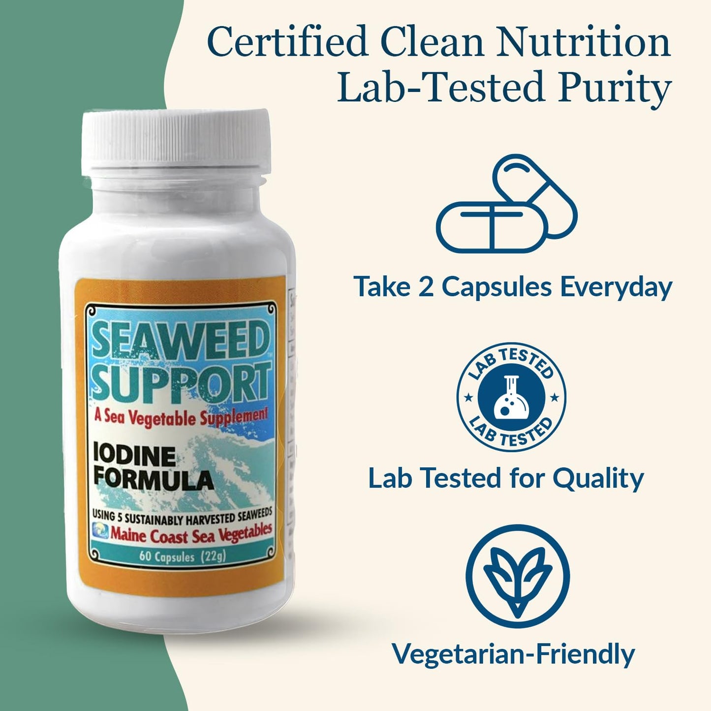 Maine Coast Sea Vegetables Seaweed Support Iodine Formula | Source of Iodine from Seaweed | Daily Use Iodine Supplement | Organic Alaria, Rockweed, Sea Lettuce, Dulse & Bladderwrack blend | 60 Capsule