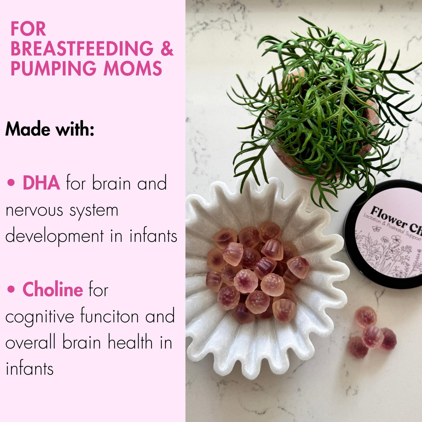 Flower Child Lactation Gummies for Milk Supply | Organic Moringa & DHA