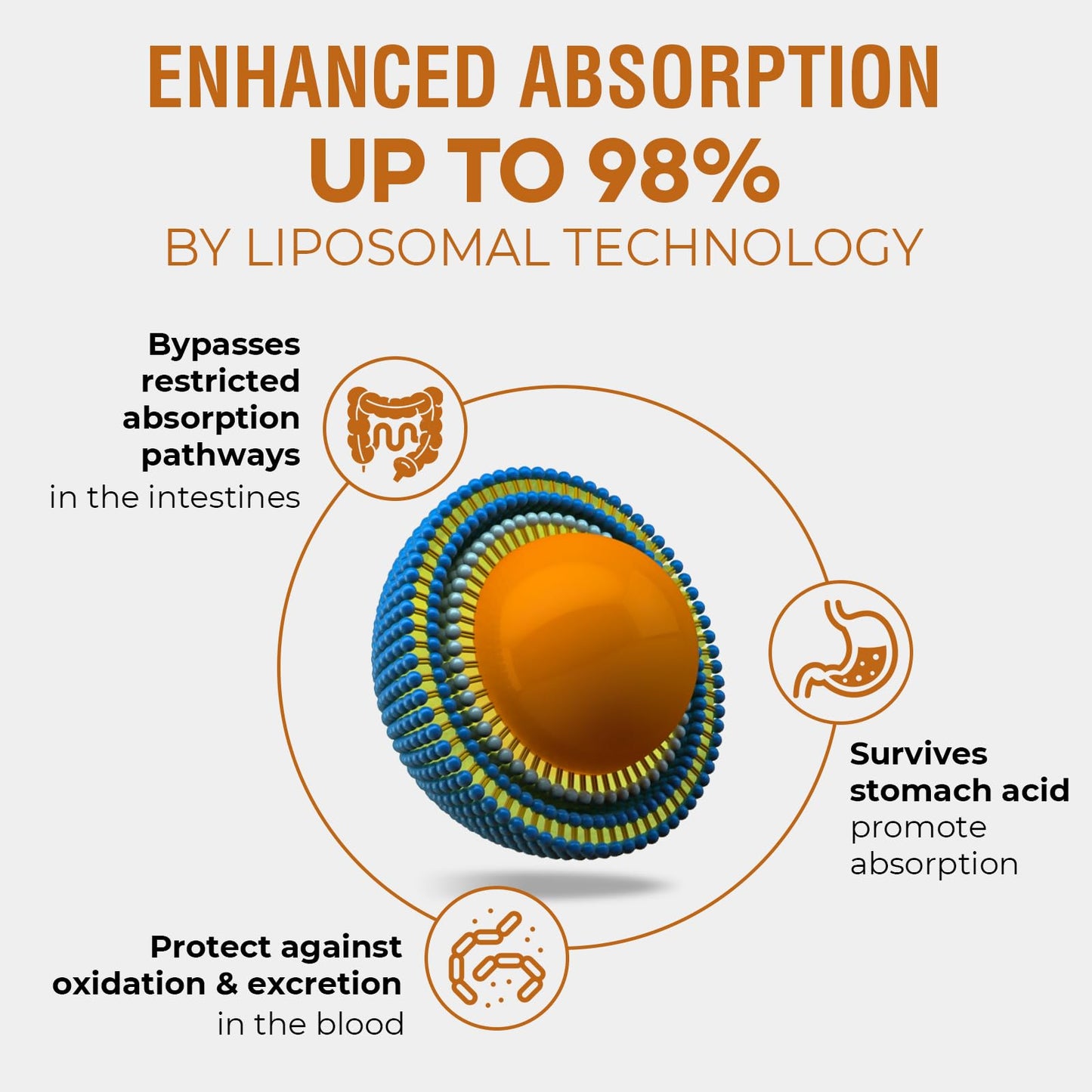 57,000 MG Liposomal Rhodiola Rosea with Ashwagandha – High-Absorption Liquid (60 ml)