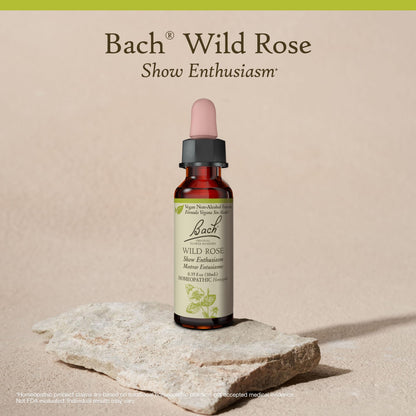 Bach Original Flower Remedies: Wild Rose (Non-Alcohol) – Enthusiasm & Emotional Balance | Vegan, Gluten Free, Sugar Free | 10mL