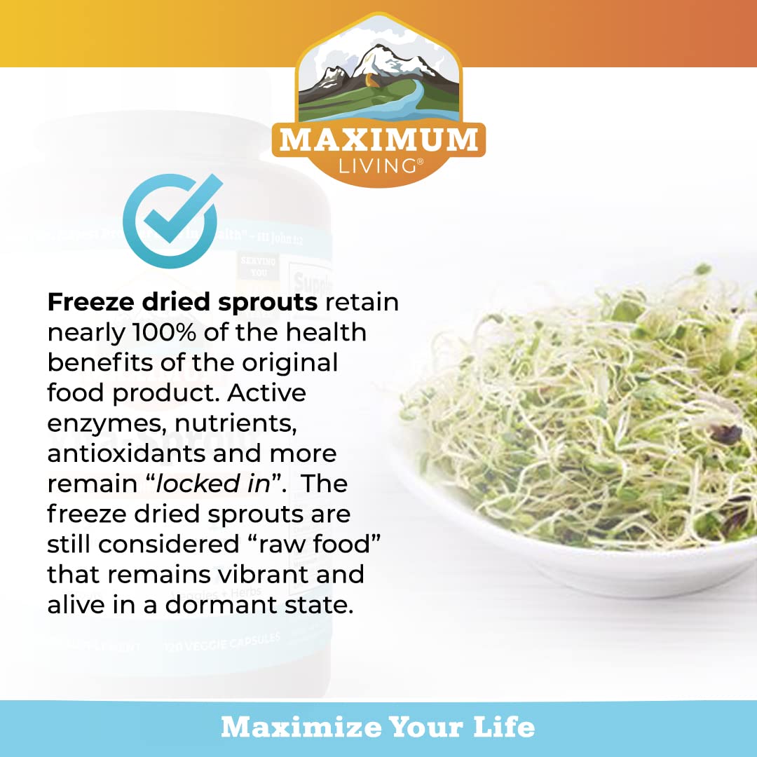Maximum Living Vita-Sprout Whole-Food Multivitamin & Phytonutrient Blend - 120 Capsules