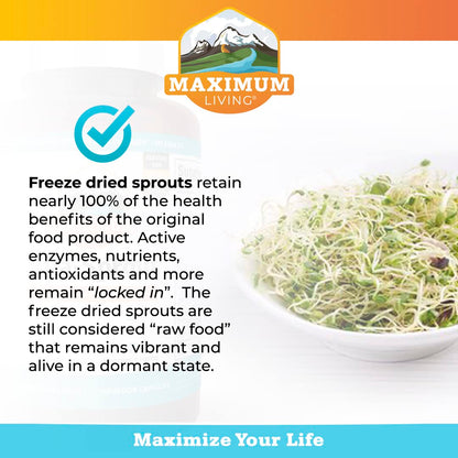 Maximum Living Vita-Sprout Whole-Food Multivitamin & Phytonutrient Blend - 120 Capsules