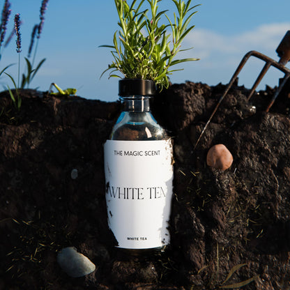 The Magic Scent White Tea Diffuser Oil - 4 fl oz | Luxury Hotel & Home Scents