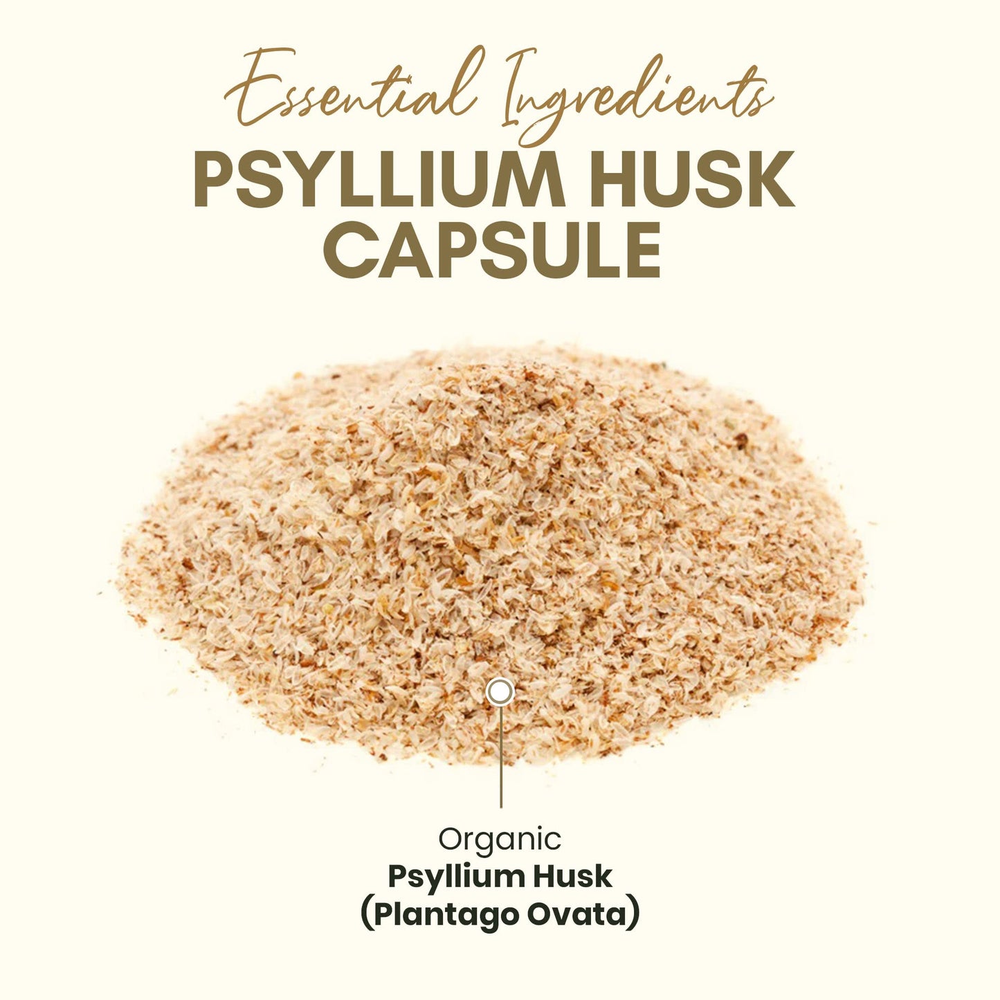 Organic Psyllium Husk Capsules 750 mg – Natural Fiber for Gut Health | Zealthy Life, 250 Capsules