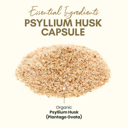Organic Psyllium Husk Capsules 750 mg – Natural Fiber for Gut Health | Zealthy Life, 250 Capsules
