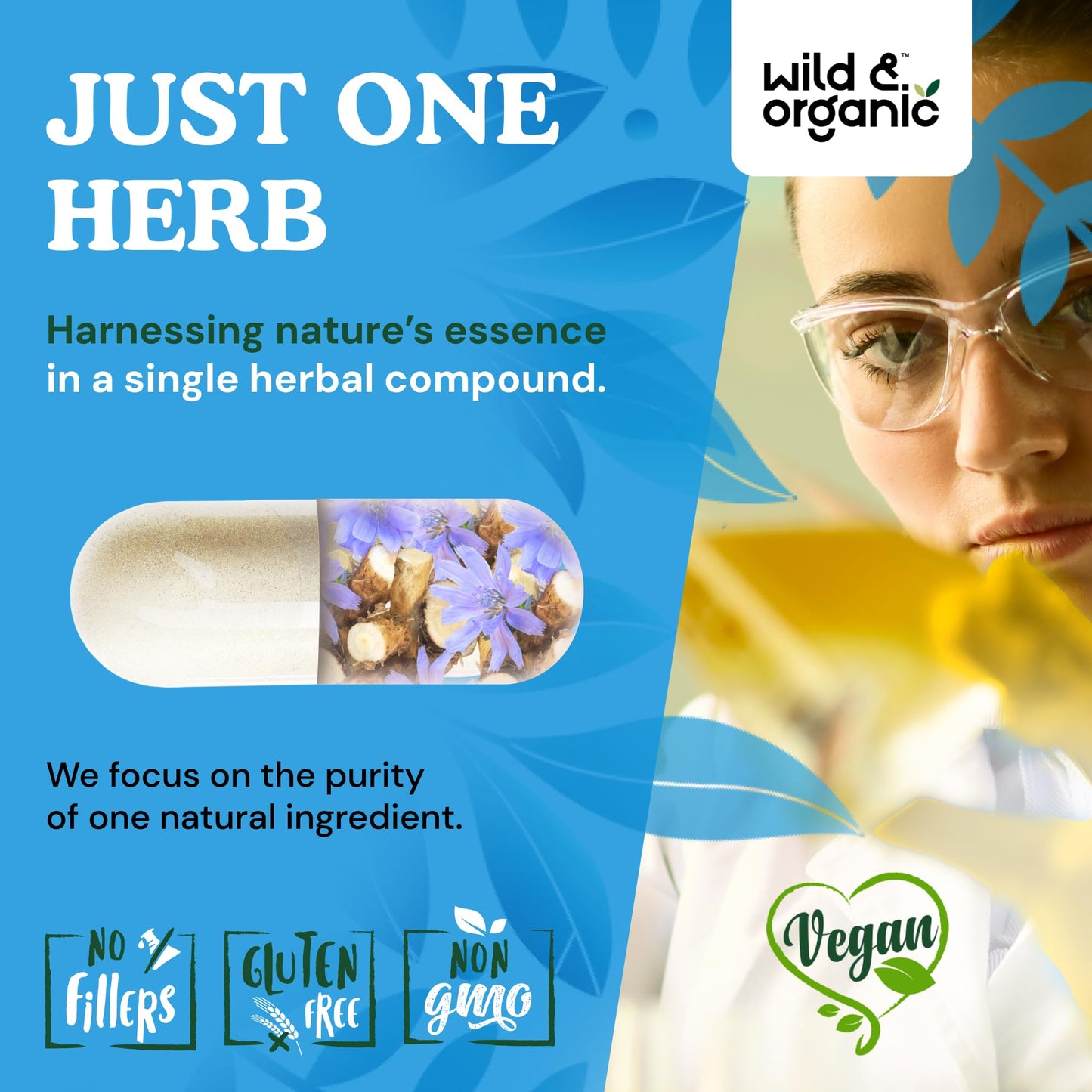Wild & Organic Inulin Capsules 1400 mg – Vegan Prebiotic Fiber (Chicory Root) – 180 Capsules