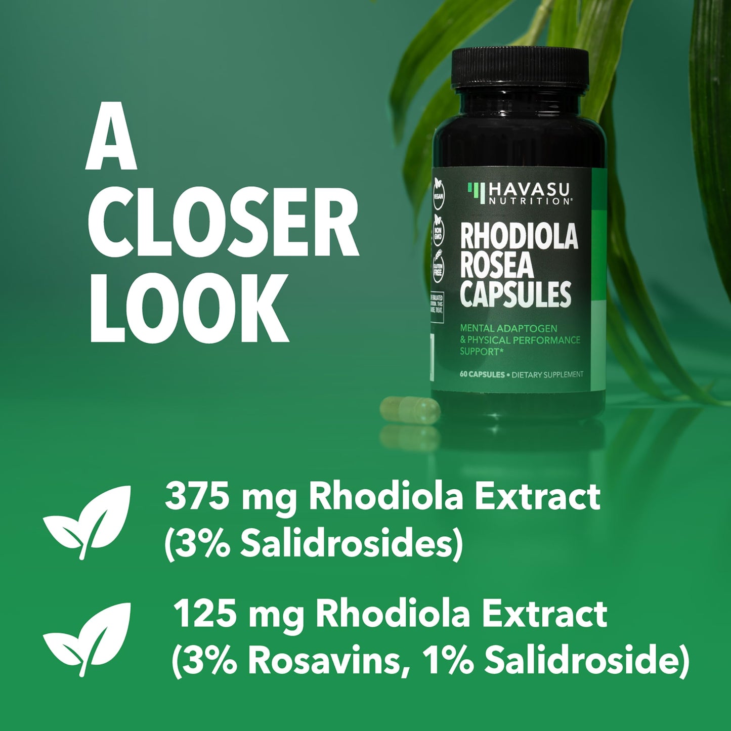 Rhodiola Rosea Supplement - 3% Salidrosides, 3:1 Rosavins, 60 Count | Vegan, Non-GMO, Gluten-Free