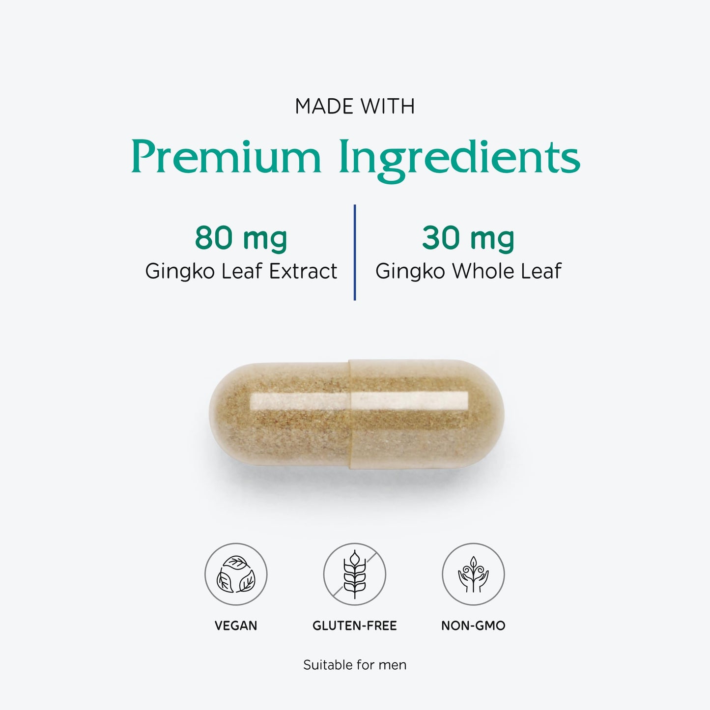 Vitanica Ginkgo Biloba Extract – Supports Circulation & Cognitive Health | 24% Flavone Glycosides, 6% Terpene Lactones | 90 Capsules