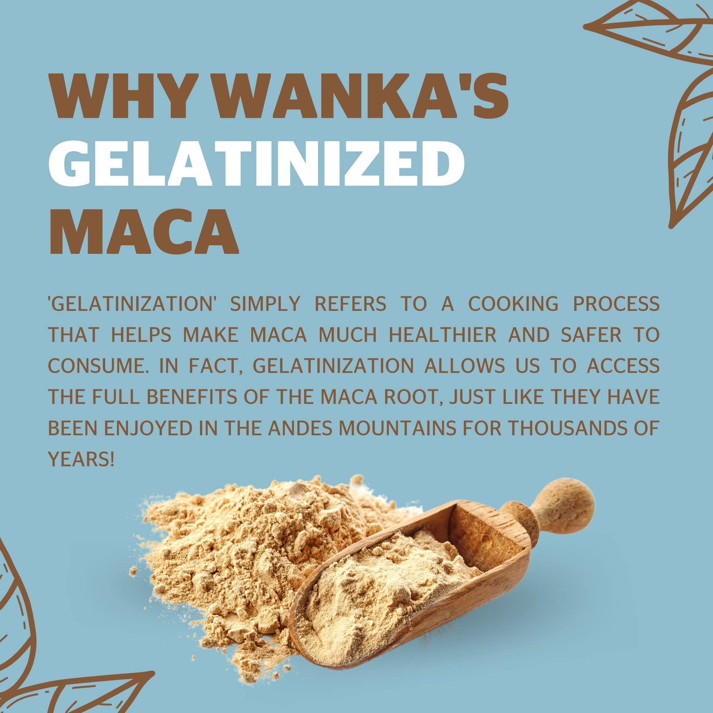 WANKA FOODS Organic Gelatinized Maca Powder – 8oz / 227g | Peruvian Maca Root, Vegan, USDA Organic, Non-GMO, Gluten-Free, Keto-Friendly