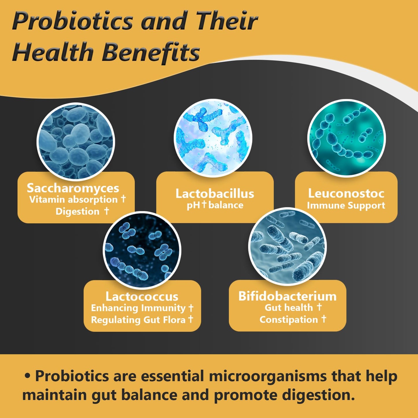 Probiotics with Prebiotics – 100B CFU, 35 Strains, Organic & Vegan (60 capsules)