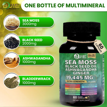 Sea Moss Capsules Ginger - 60 Caps | Energy, Immunity & Skin Health | Vegan & Non-GMO