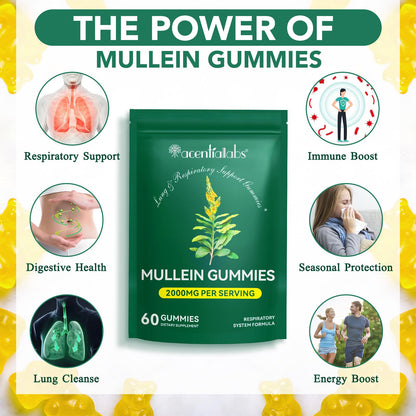 Mullein Gummies - Mullein Leaf Extract for Lungs, 2000mg Mullein Gummies for Lungs Detox, Respiratory Digestive Immune Support, 60 Count