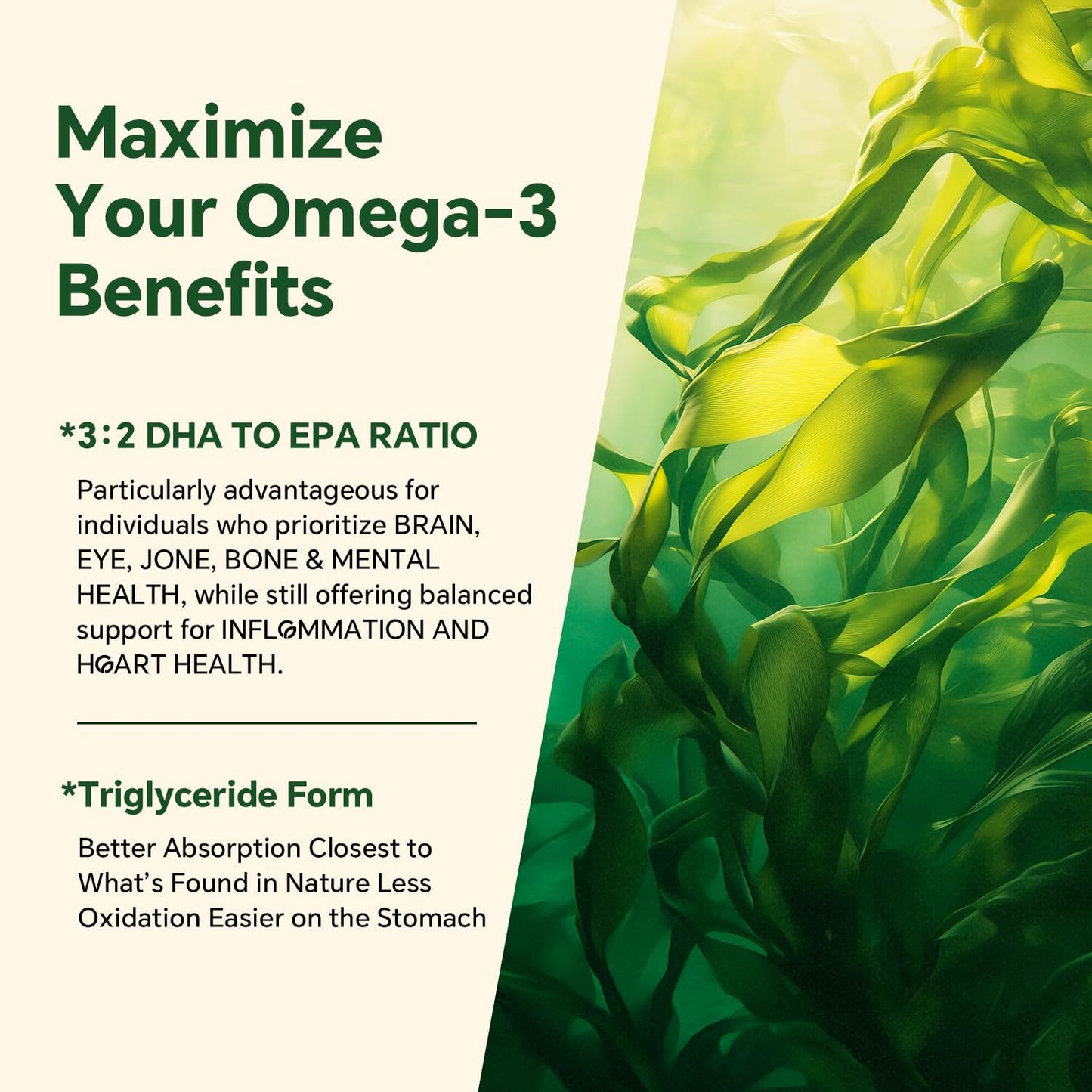 Vegan Omega 3 Gummies 1200mg - Dual Layer Algae DHA 600mg / EPA 400mg