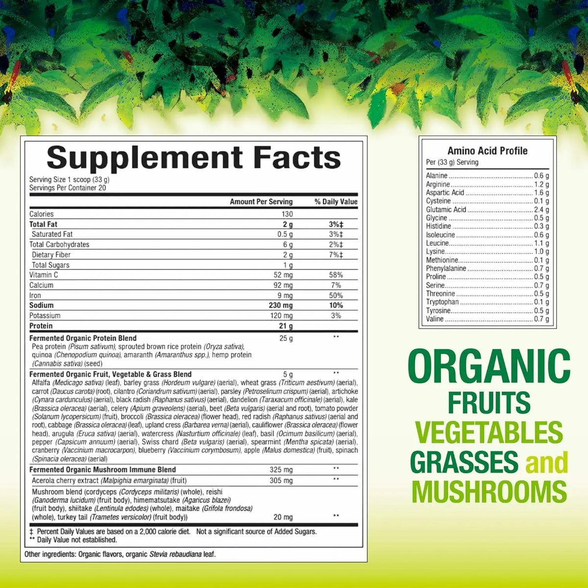 Whole Earth & Sea Organic Fermented Protein & Greens – Vegan Protein, Tropical, 1 lb 7.3 oz | Natural Factors BritishVita | Premium UK Vitamins & Wellness Supplements