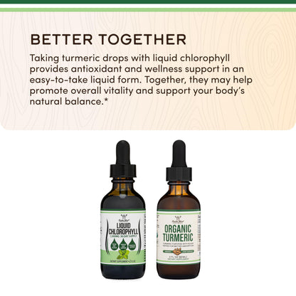 Chlorophyll Liquid Drops Peppermint 2oz by Double Wood – Digestion, Gut Health, Energy & Detox | Vegan Safe