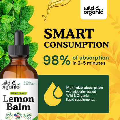 Wild & Organic Lemon Balm Tincture – Mood Support, Melissa Leaf Extract Drops, Vegan, Sugar & Alcohol-Free, 4 fl oz
