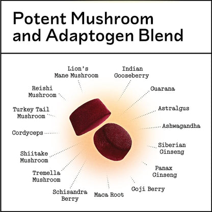Mushroom Gummies - Lion's Mane, Cordyceps, Reishi, Shiitake Adaptogen Supplement | Immune Support, De-Stress, Mood & Energy - 60 Count | Vegan, Sugar-Free, Non-GMO