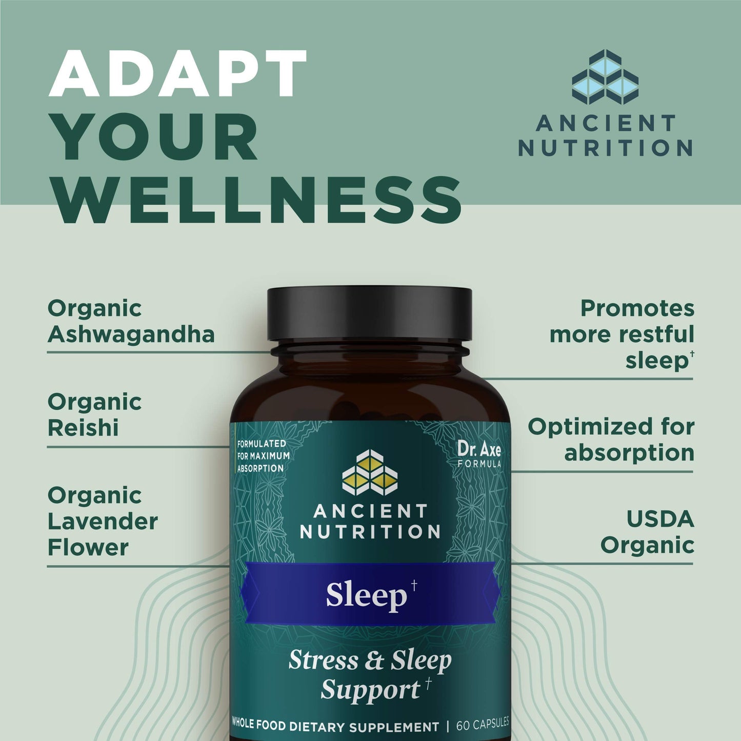 Ancient Nutrition Ashwagandha Sleep Support – Stress & Sleep, 60 Capsules | Gluten Free, Keto & Paleo